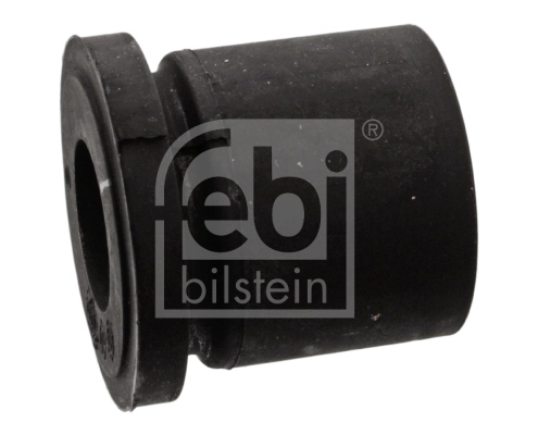 Bushing, leaf spring